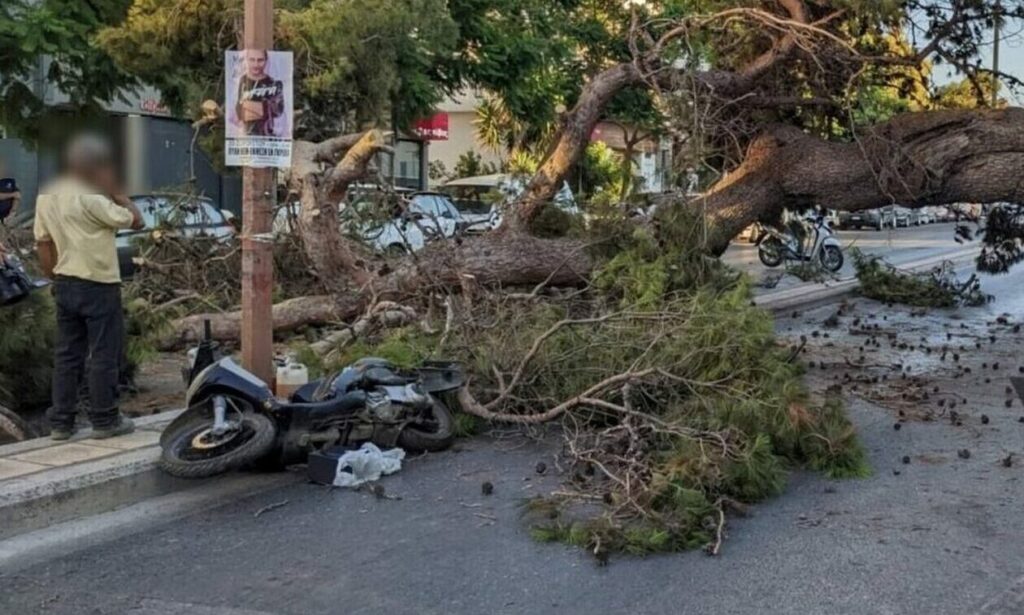 Θάνατος 50χρονου από δέντρο: Συγκλονίζει η εξομολόγηση της γυναίκας του – “Να μην ξεχαστεί, να μην “θαφτεί” η υπόθεση του Παναγιώτη μου”