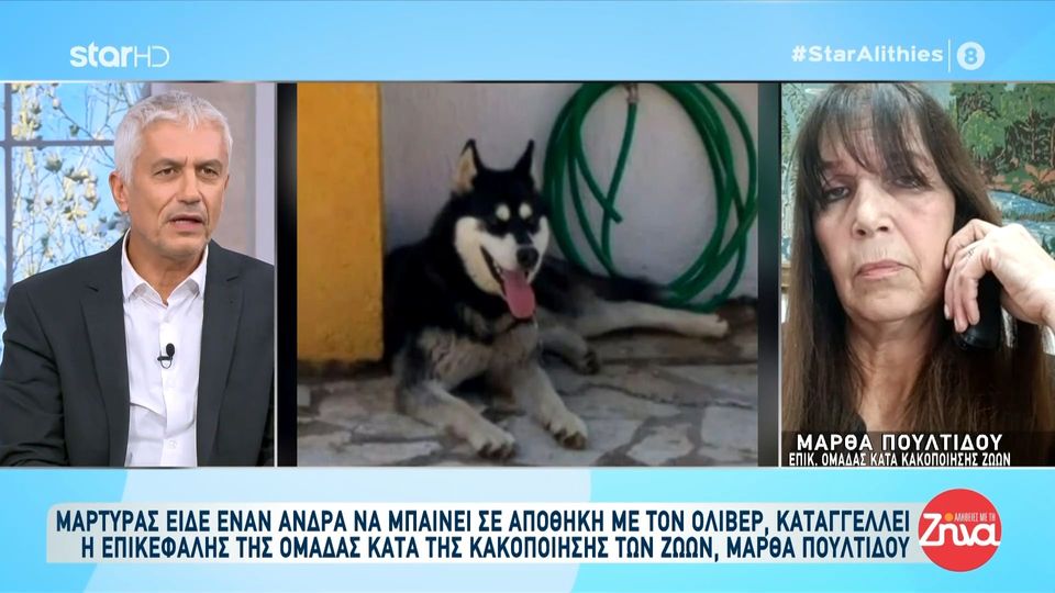 Κακοποίηση Όλιβερ στην Αράχωβα: Είναι όλοι ψεύτες! Θέλω να μας πουν από πού διαπίστωσαν από τρίχες και κόκκαλα ότι ο Όλιβερ είχε δαγκωματιές.