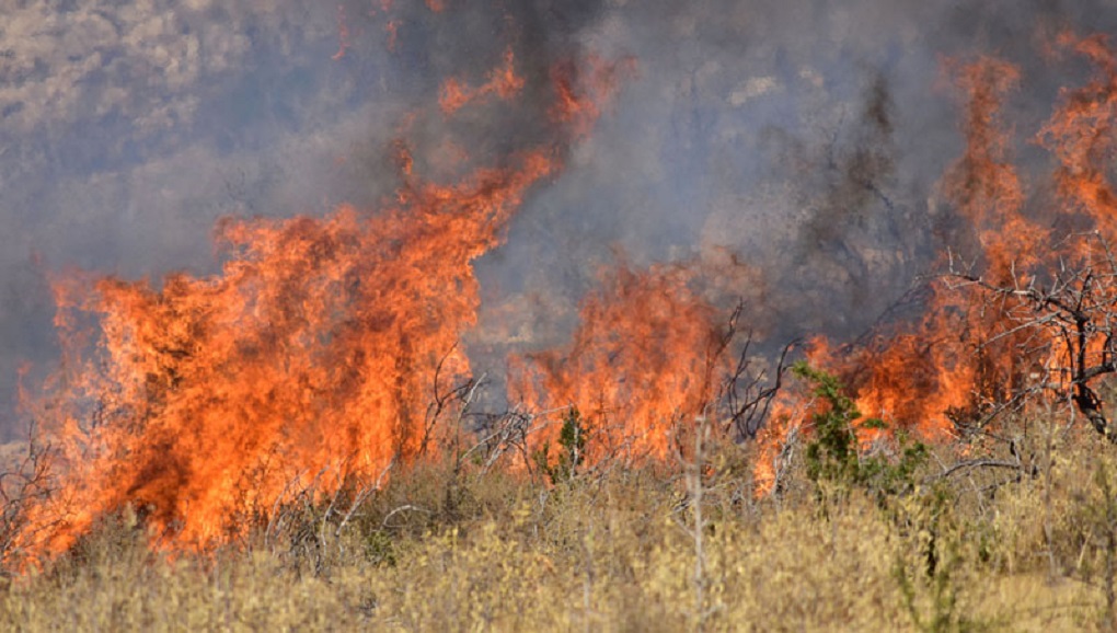 Αχαΐα: Συνελήφθη 74χρονος για εφτά εμπρησμούς σε μια εβδομάδα