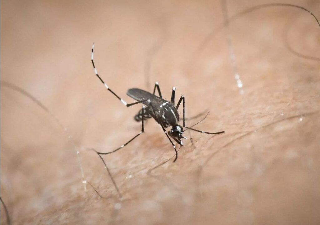 Πώς θα προστατευτούμε από κορονοϊό, ιλαρά, κουνούπια και καύσωνες φέτος το καλοκαίρι – Αναλυτικές οδηγίες